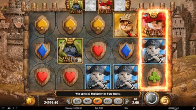 Feline Fury gewinnen Bild